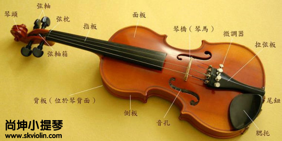 小提琴教程网